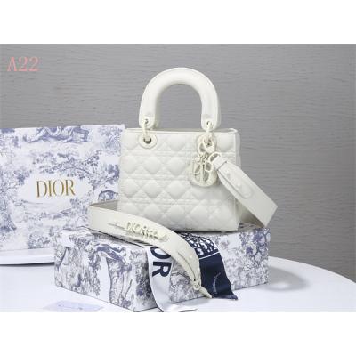 Dior Bags AAA 020